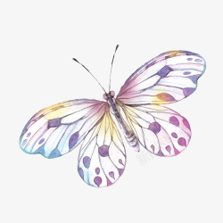 超唯美水彩浪漫超唯美手绘彩色蝴蝶高清图片