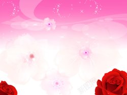 粉色背景红色花朵素材