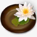 圆盘荷花圆盘白色荷花图标高清图片