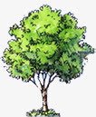 绿色庭院手绘树木png免抠素材_88icon https://88icon.com 庭院 树木 绿色