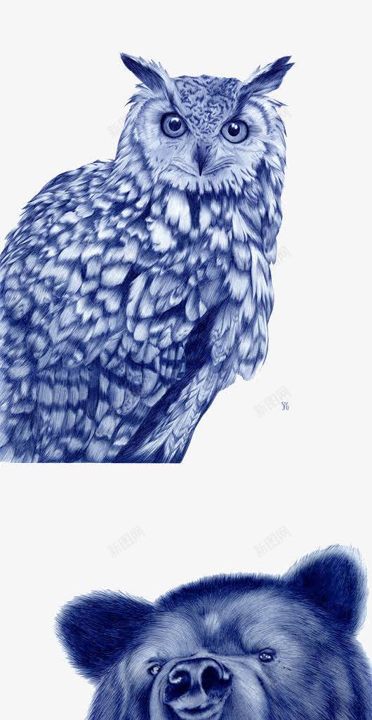 创意写实猫头鹰钢笔画png免抠素材_88icon https://88icon.com 写实 创意 动物 蓝色 钢笔画