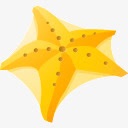 star海明星Y所有谷歌图标图标