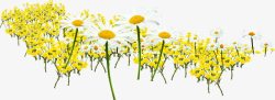黄色春天美景花朵手绘素材