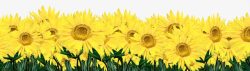 创意海报植物黄色向日葵素材