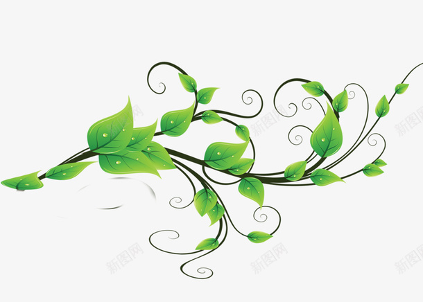 绿色清新树藤装饰图案png免抠素材_88icon https://88icon.com 免抠PNG 树藤 清新 绿色 装饰图案