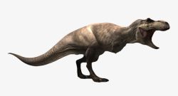 长尾巴恐龙长尾巴动物高清图片
