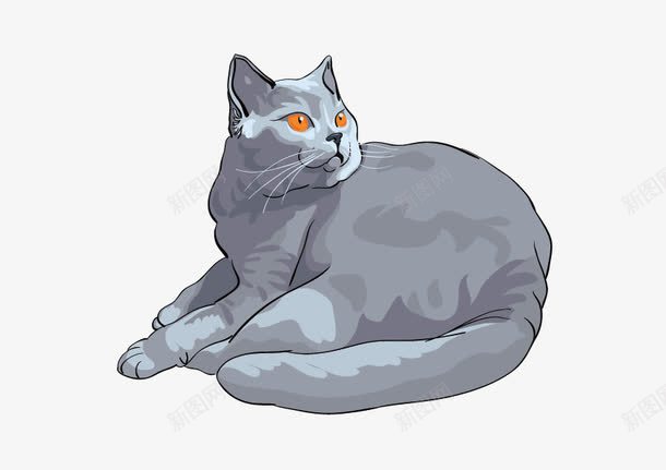 蓝猫png免抠素材_88icon https://88icon.com 灰色 蓝猫 转头 黑眼睛