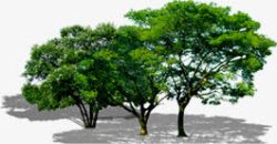 创意绿色树木合成效果环境素材