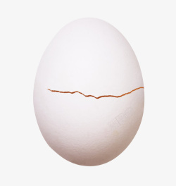 白色鸡蛋带裂纹的初生蛋实物素材
