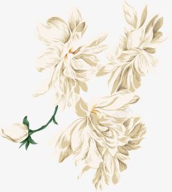 白色艺术花朵装饰美景素材