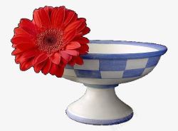 红色花和瓷碗素材