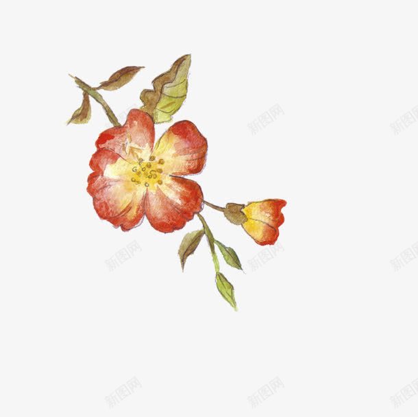 红色花边花朵png免抠素材_88icon https://88icon.com 卡通 手绘 简图 红色 绿色 花朵 装饰 黄色