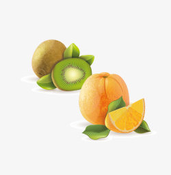 手绘猕猴桃和橙子矢量图素材