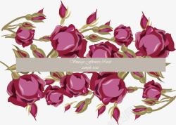 紫色玫瑰边框素材