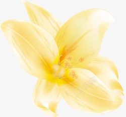 黄色手绘花朵素材