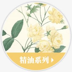 黄色卡通手绘精油花朵png免抠素材_88icon https://88icon.com 卡通 花朵 黄色