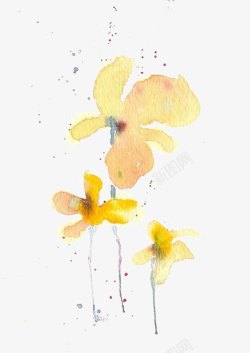水彩黄色花朵素材