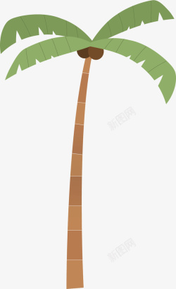 高高的椰子树矢量图素材