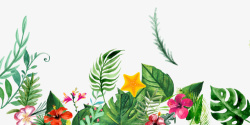 手绘植物装饰图案素材