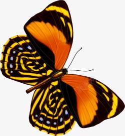 手绘创意飞舞的花蝴蝶效果素材