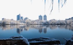 北京玉渊潭雪景三素材