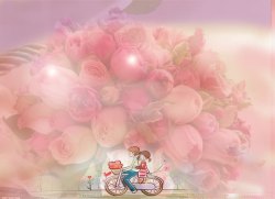 浪漫粉色玫瑰背景素材