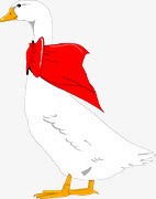 鸭子家禽红领巾手绘素材