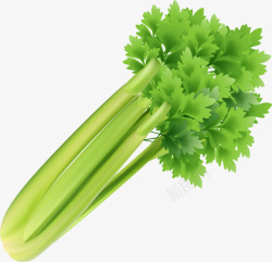 健康绿色蔬菜素材