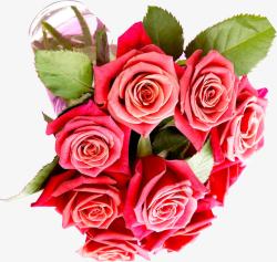 粉色玫瑰花束装饰素材