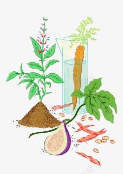卡通胡萝卜植物素材