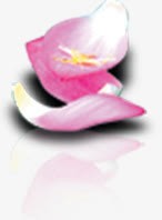 手绘漂浮粉色环保花朵素材