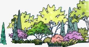 手绘彩色漫画植物树林png免抠素材_88icon https://88icon.com 彩色 树林 植物 漫画