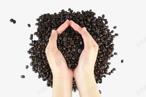 手捧咖啡豆png免抠素材_88icon https://88icon.com 可可豆 咖啡 咖啡豆