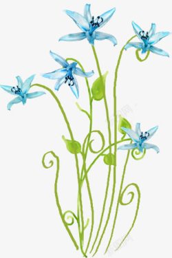花开时节蓝色花朵素材