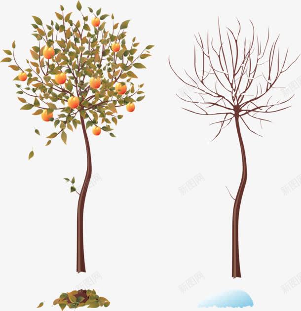 干枯的树和果实累累的树png免抠素材_88icon https://88icon.com 干枯 果实 累累的