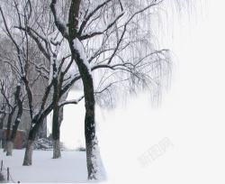 雪后公园树林风景素材