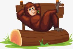 棕色猩猩躺着休息的猿猴高清图片