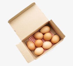 鸡蛋包装纸盒素材