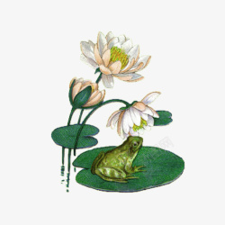 绿色中国风青蛙花朵装饰图案素材
