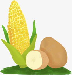 水彩黄色玉米食物图素材