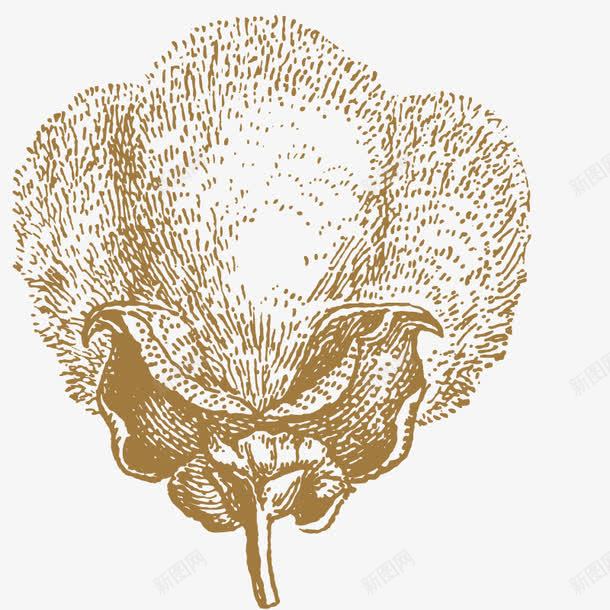 植物棉花多png免抠素材_88icon https://88icon.com 农作物 剪影 收获 艺术