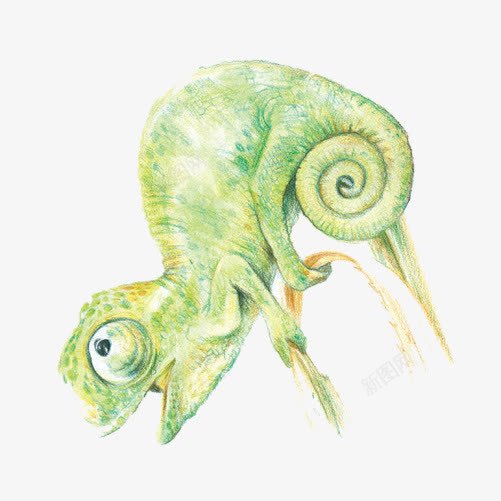 变色龙索手绘画片png免抠素材_88icon https://88icon.com 手绘色彩画 爬行动物 绿色 蜥蜴