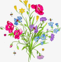 手绘彩色花朵植物春日开放素材