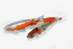 花纹金鱼斑点手绘素材