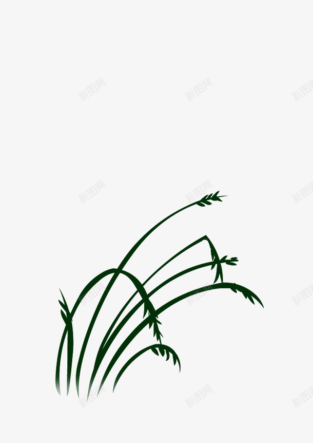 绘画植物草自然png免抠素材_88icon https://88icon.com 绘画植物 自然 草