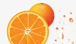 橙子富含维C素材