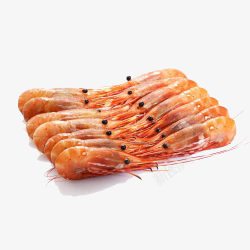 阿根廷红虾素材
