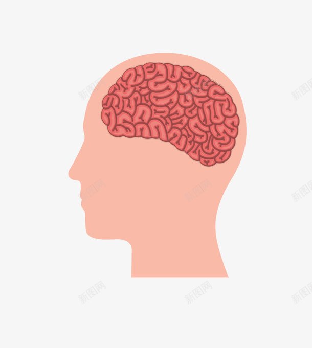 肤色人的思考人脑解剖png免抠素材_88icon https://88icon.com 人的思考 人脑解剖 矢量人脑解剖 肤色人脑解剖