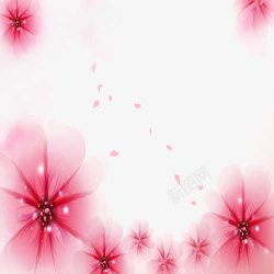 粉色花之背景素材