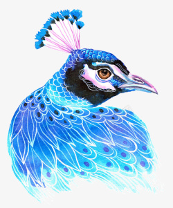 创意蓝色的鸟插画素材